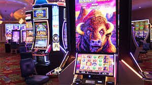 9bet net