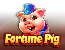 9bet net
